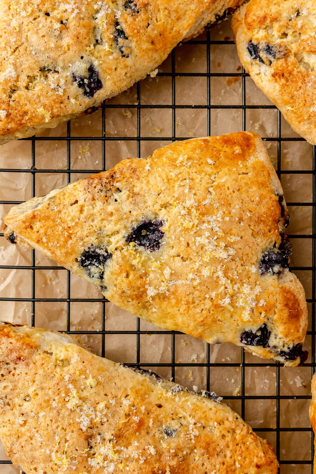 Close up of baked blueberry scone on coolling rack.