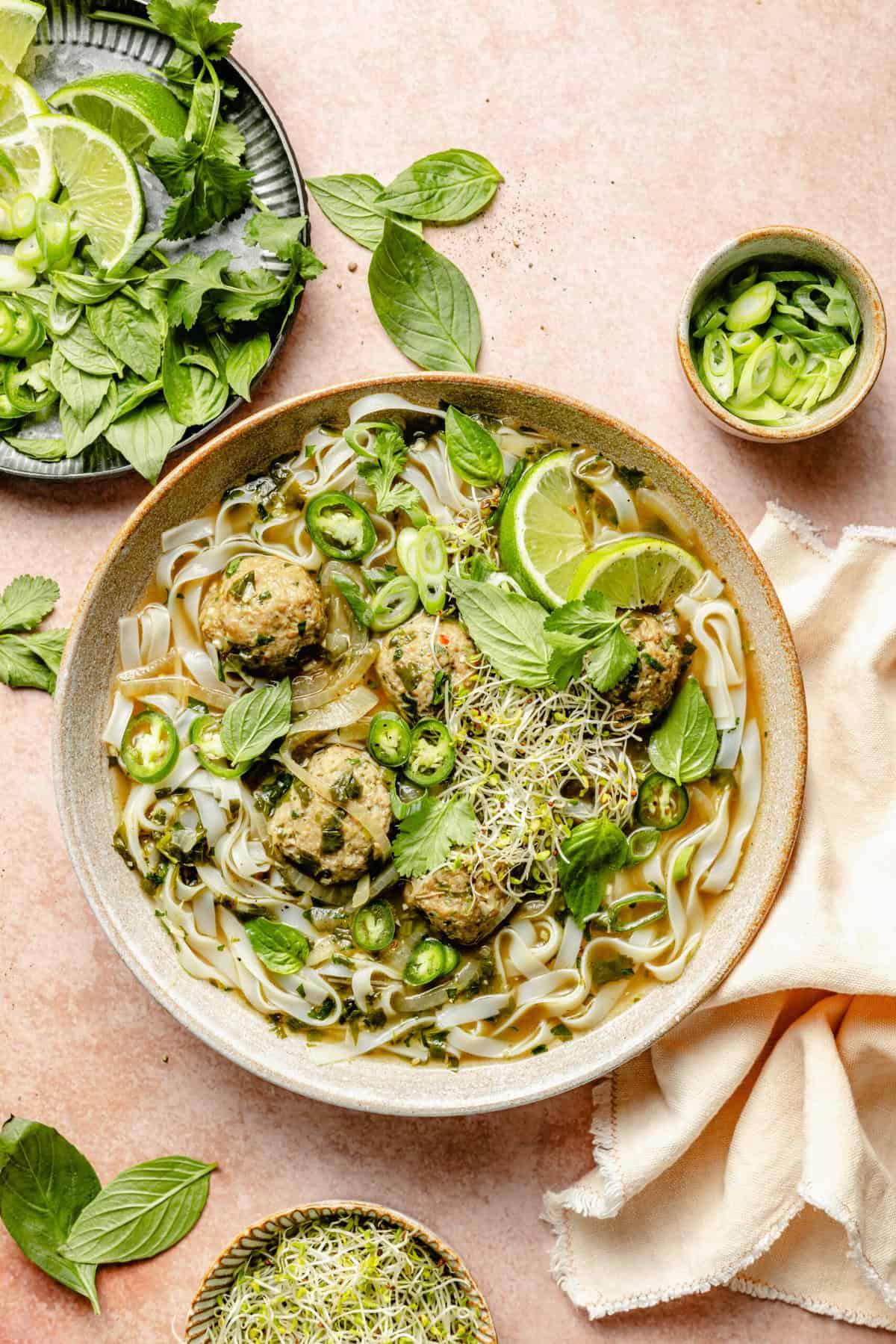 Ginger-Pork Meatball Noodle Soup