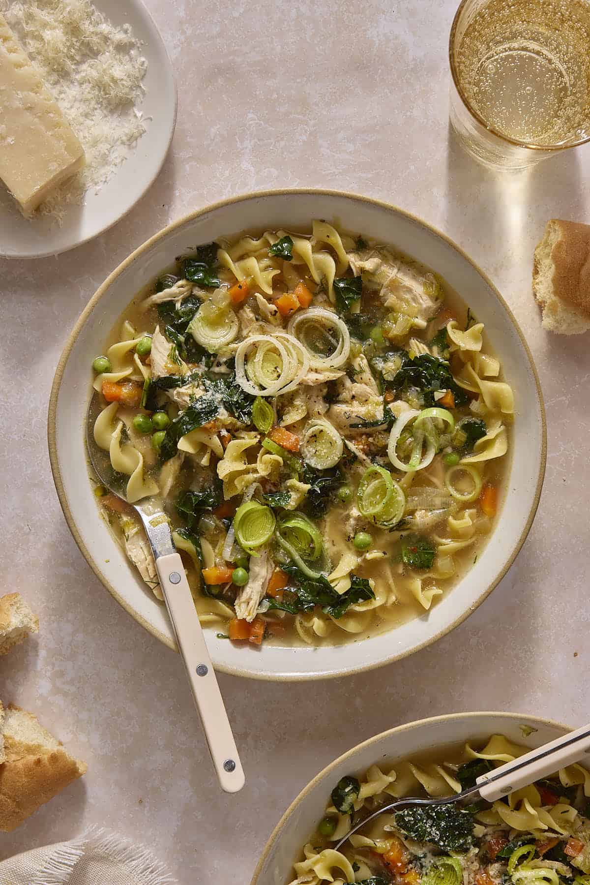 Chicken and Leek Noodle Soup
