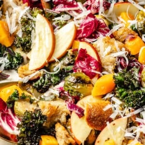 Close up image of Fall Panzanella Salad with Maple Mustard Vinaigrette.