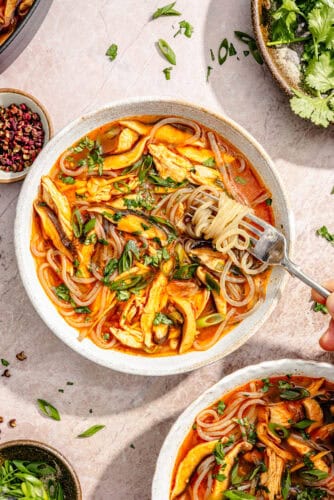 a bowl of spicy sichuan-style chicken noodle soup and glass noodles garnished with fresh cilantro and scallions